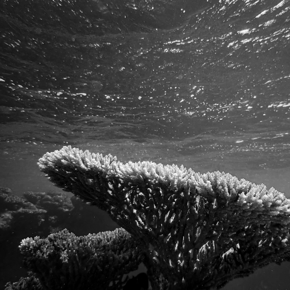 francesco-ungaro-DnLtZfBSjcU-unsplash