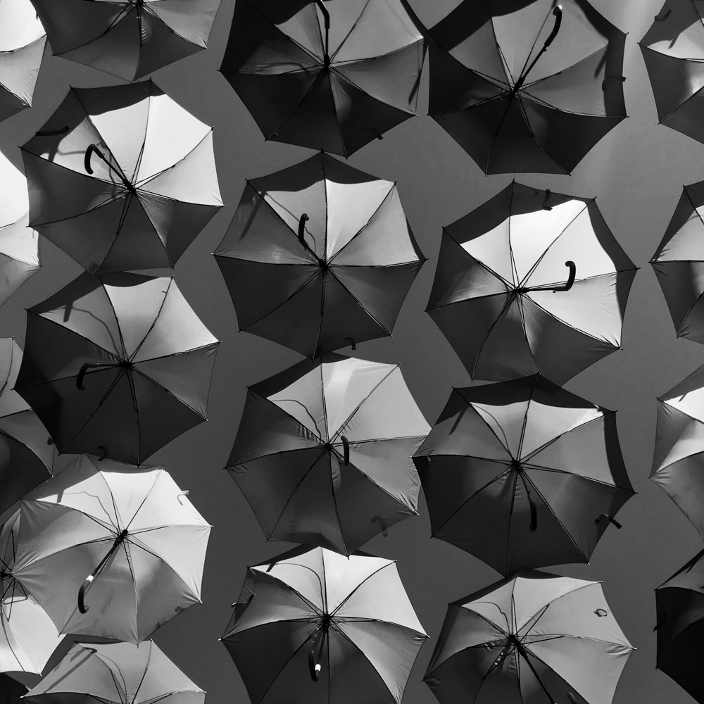 xiaoxiao-sun-e8e4YY65sOk-unsplash